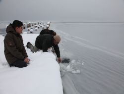 Van Gölü'nde şaşırtan görüntü